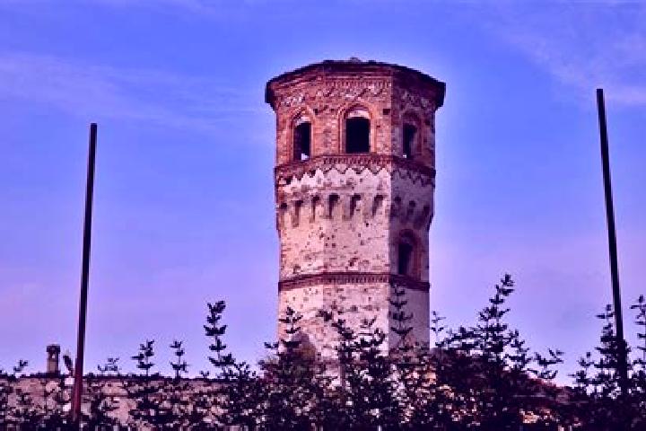 escort Buttigliera Alta