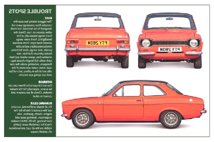 escort Buy