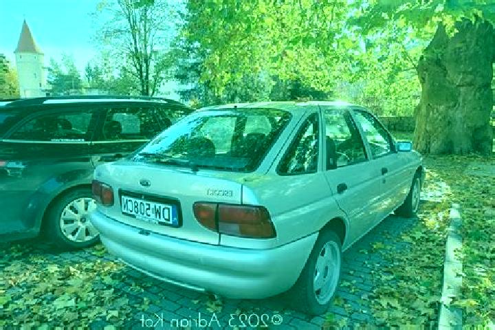 escort Buzinove