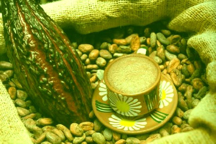 escort Cacao