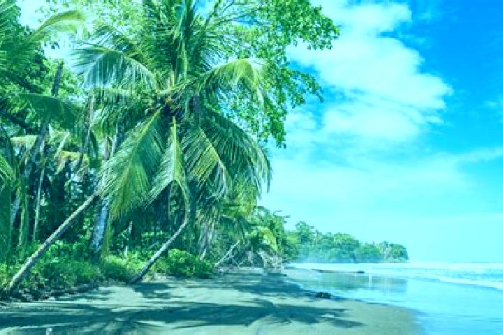 escort Cahuita