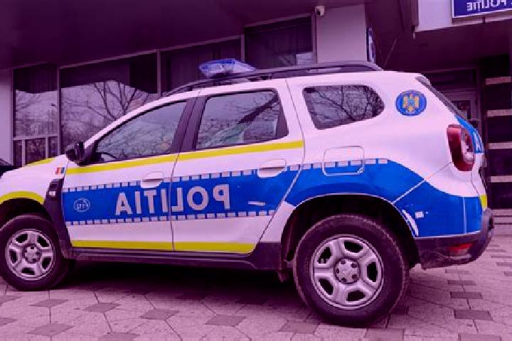 escort Cainenii Mici
