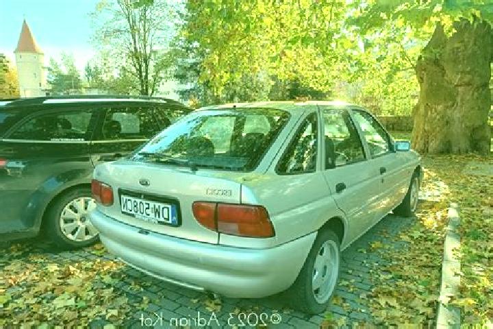 escort Calasetta