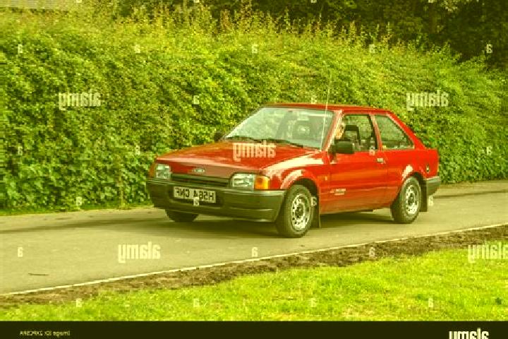 escort Calbe