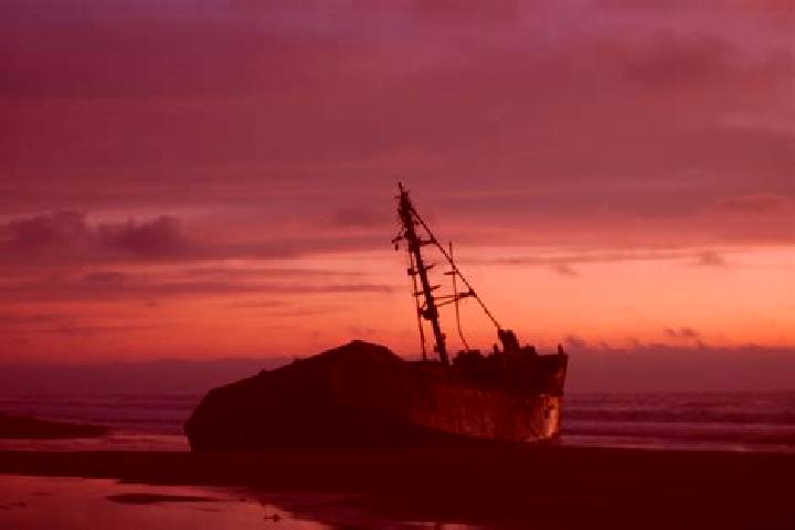 escort Caleta Vidal