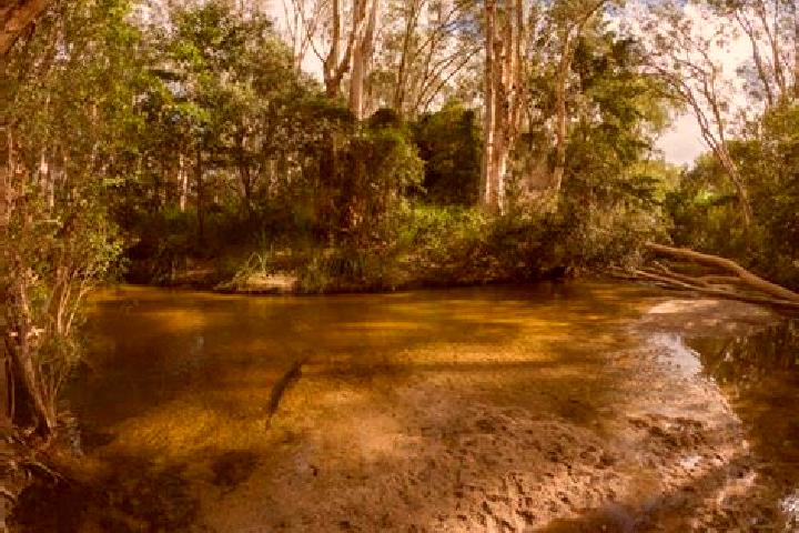 escort Callac Creek