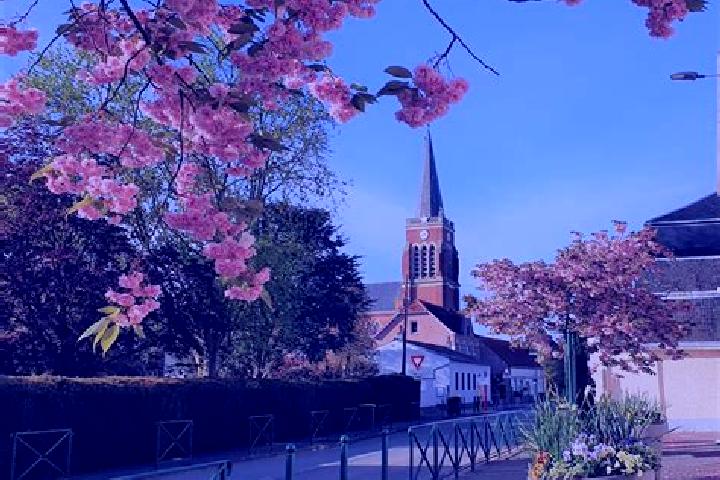 escort Calonne-sur-la-Lys