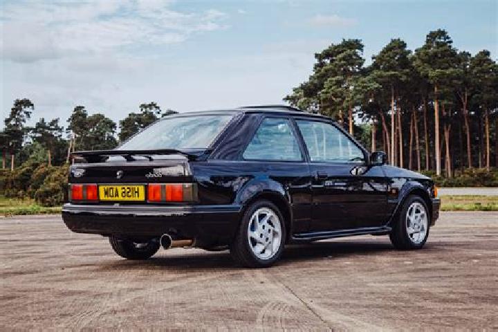 escort Calosso