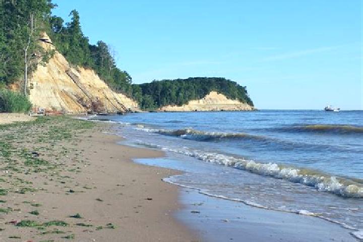 escort Calvert Beach