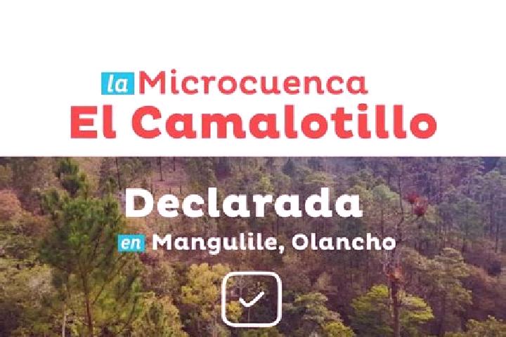 escort Camalotillo (El Camalotillo)