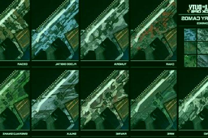 escort Camos