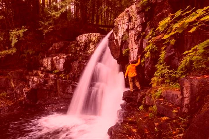 escort Campbell Creek