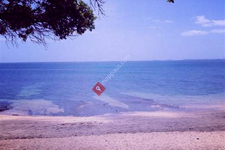 escort Campbells Bay