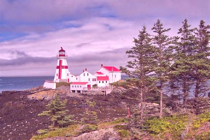 escort Campobello Island