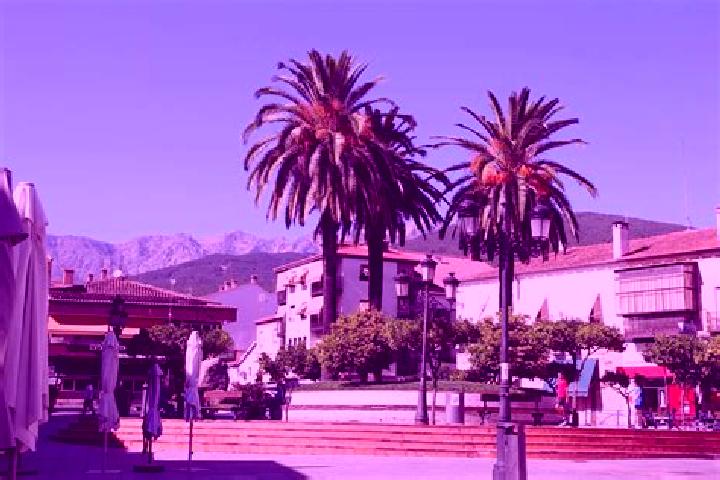 escort Candeleda