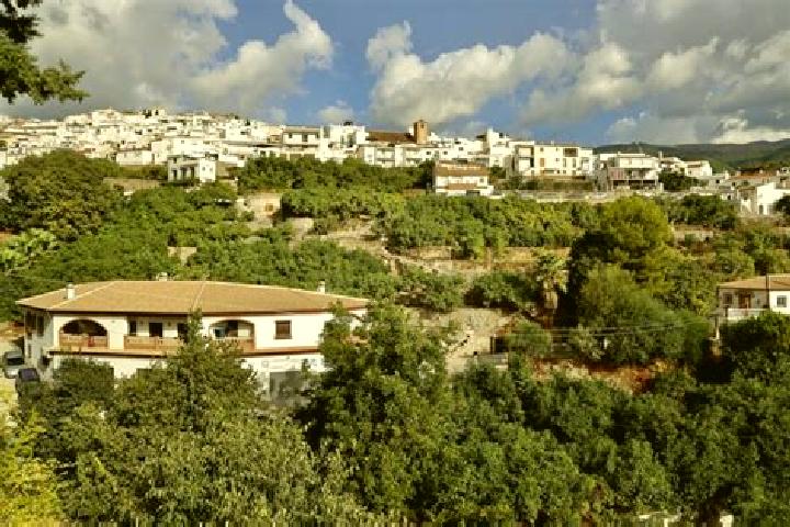escort Canillas de Albaida