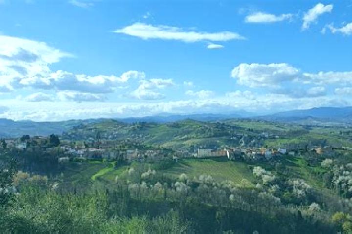 escort Canneto Pavese