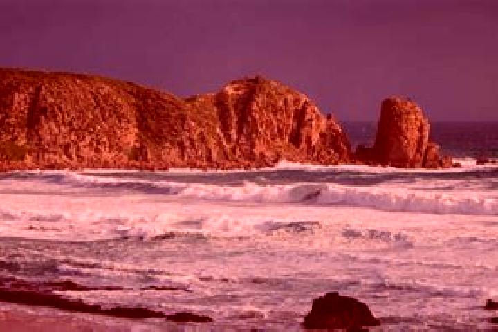 escort Cape Woolamai