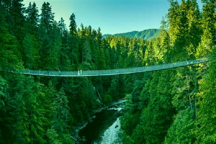 escort Capilano