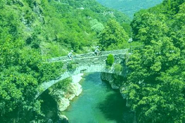 escort Capo di Ponte