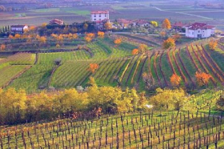 escort Capriva del Friuli