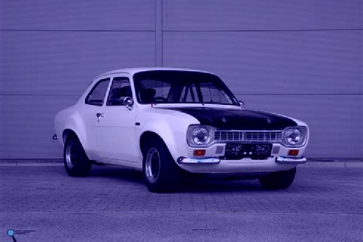 escort Carbonear
