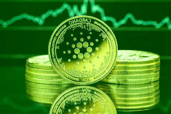 escort Cardano