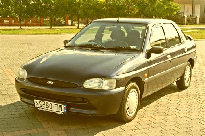 escort Carfizzi