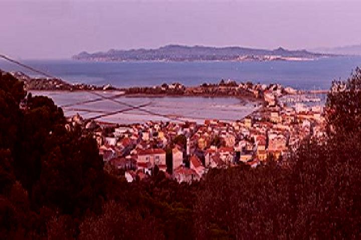 escort Carloforte