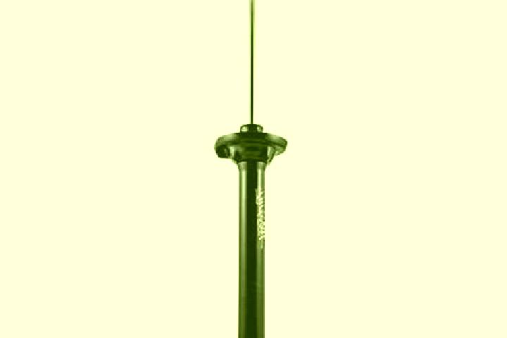 escort Carrefour
