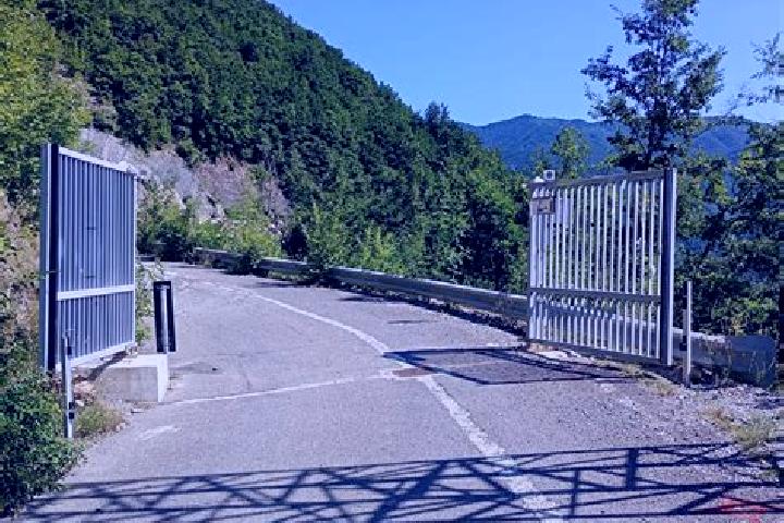 escort Carrega Ligure