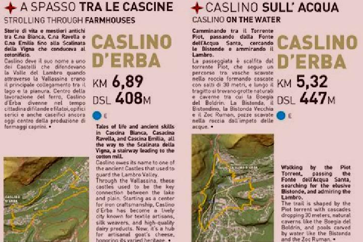 escort Caslino d Erba