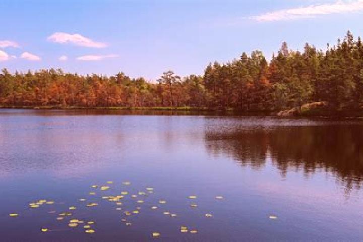 escort Cass Lake