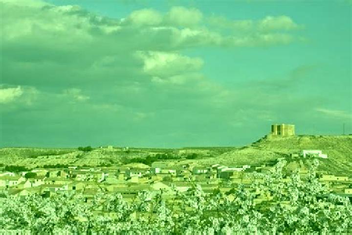 escort Castejon de Monegros