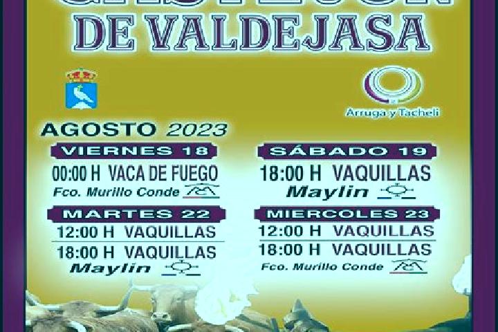 escort Castejon de Valdejasa