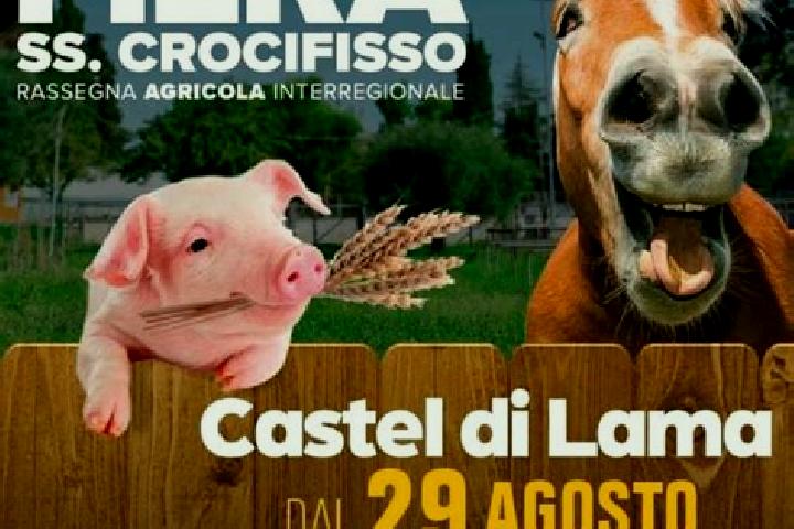 escort Castel di Lama