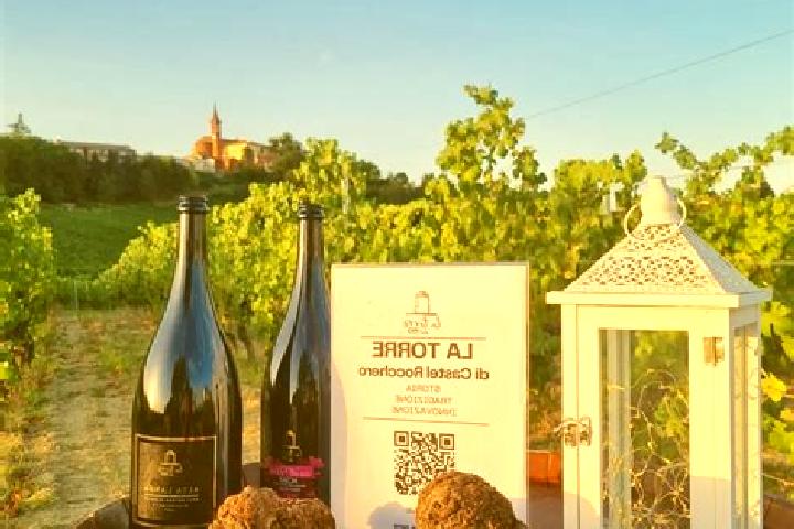 escort Castel Rocchero