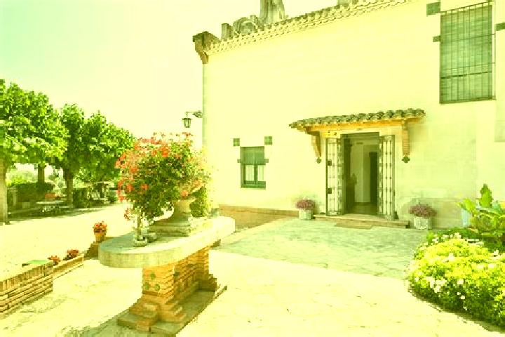 escort Castellar del Valles
