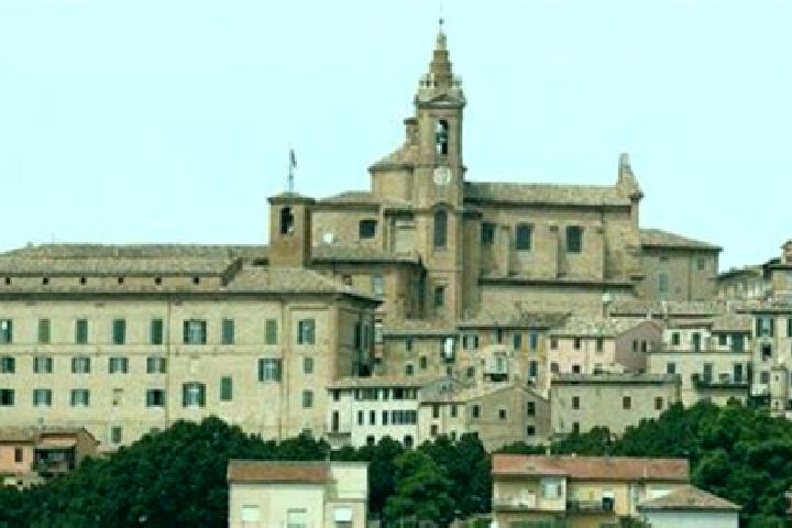 escort Castelleone di Suasa