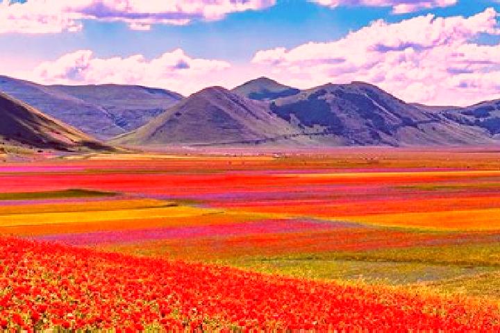 escort Castelluccio Superiore