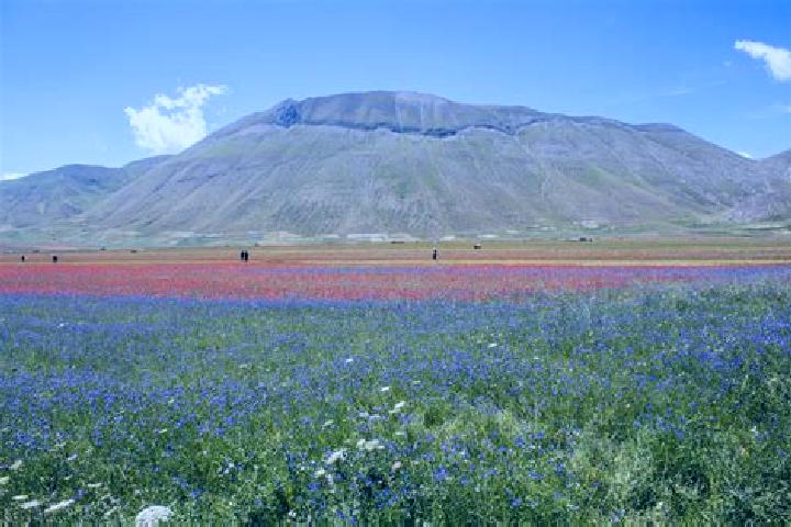 escort Castelluccio