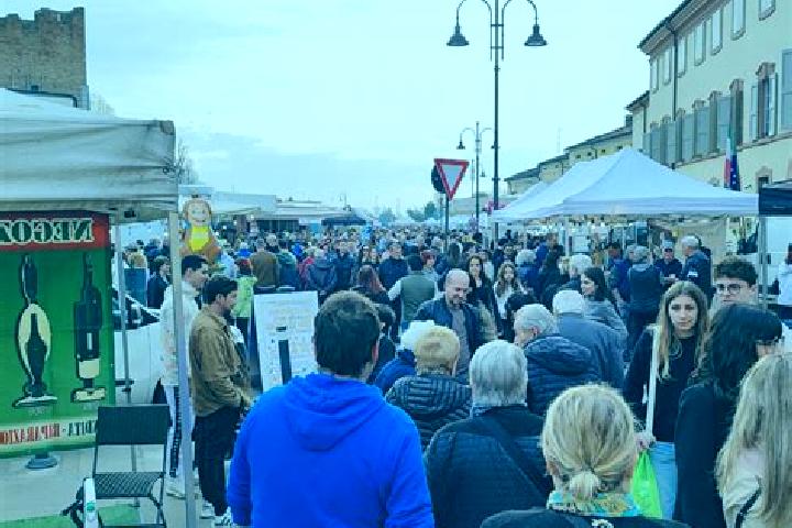 escort Castelnuovo Scrivia