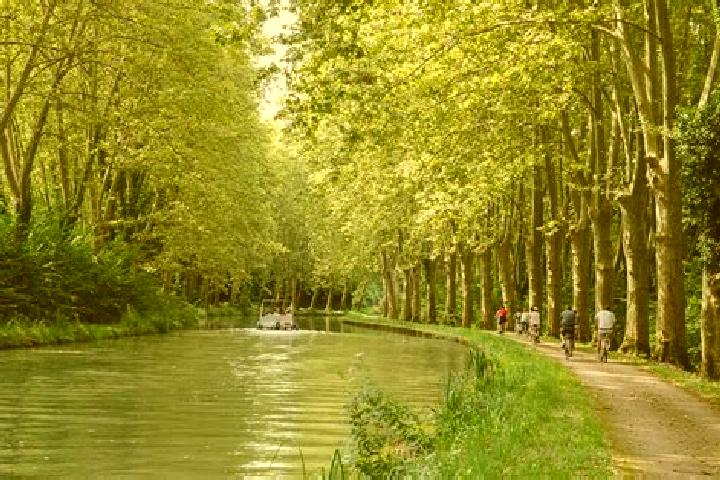 escort Castets-en-Dorthe