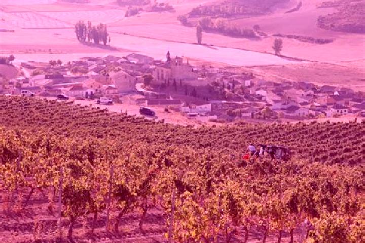 escort Castrillo de Duero