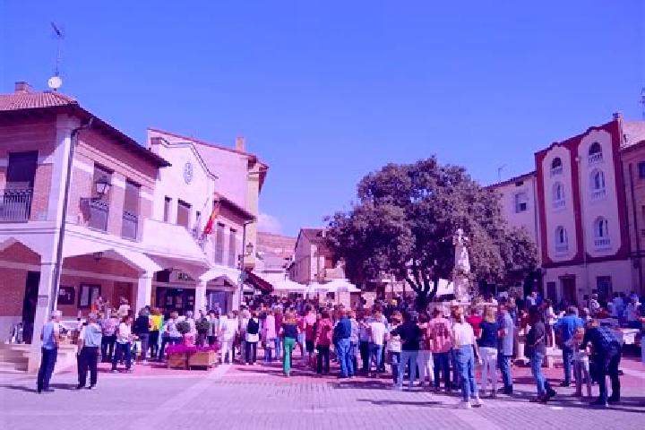 escort Castrillo del Val