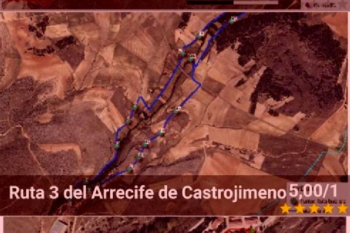 escort Castrojimeno
