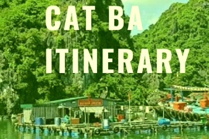 escort Cat Ba