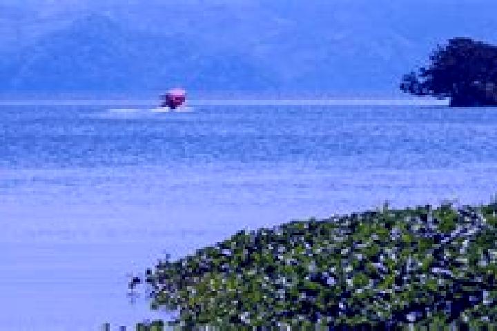 escort Catemaco