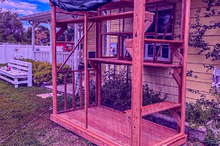 escort Catio