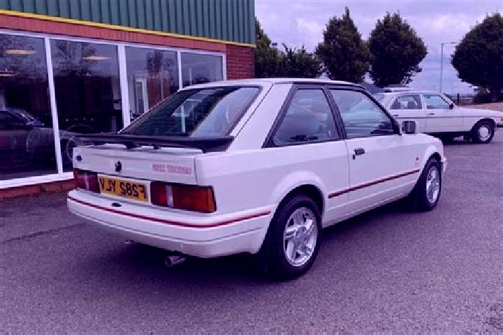 escort Cavnic